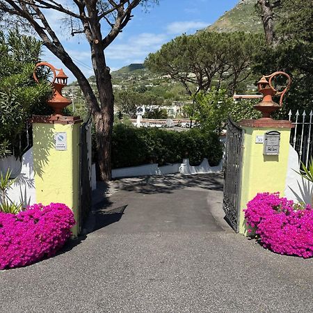 Forio di Ischia Hotel Park Calitto מראה חיצוני תמונה